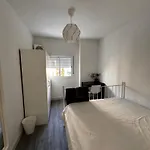 Nueva House